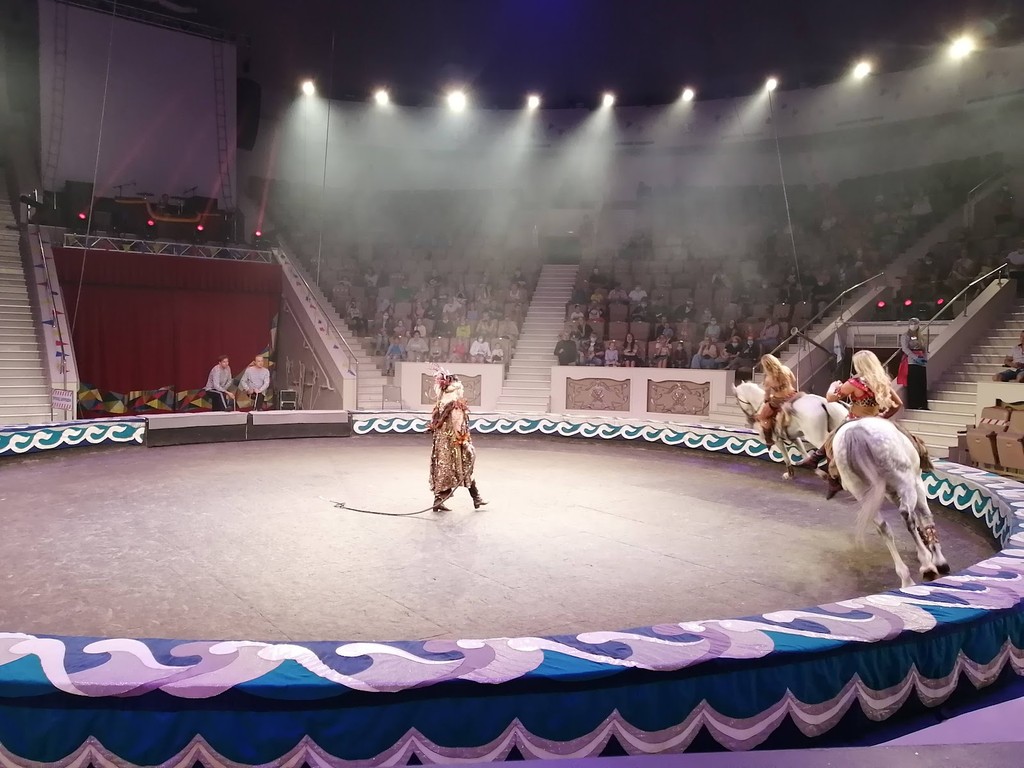 Нижнетагильский цирк (Nizhny Tagil Circus) (Source: Google Maps)