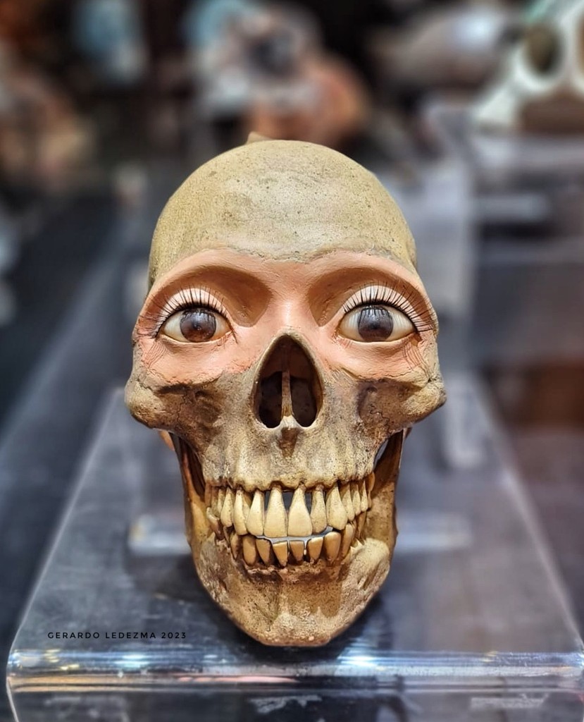 Museo Nacional de la Muerte (Source: Google Maps)