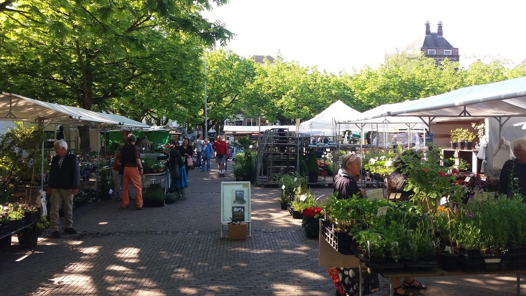 Amstelveld (Source: Google Maps)