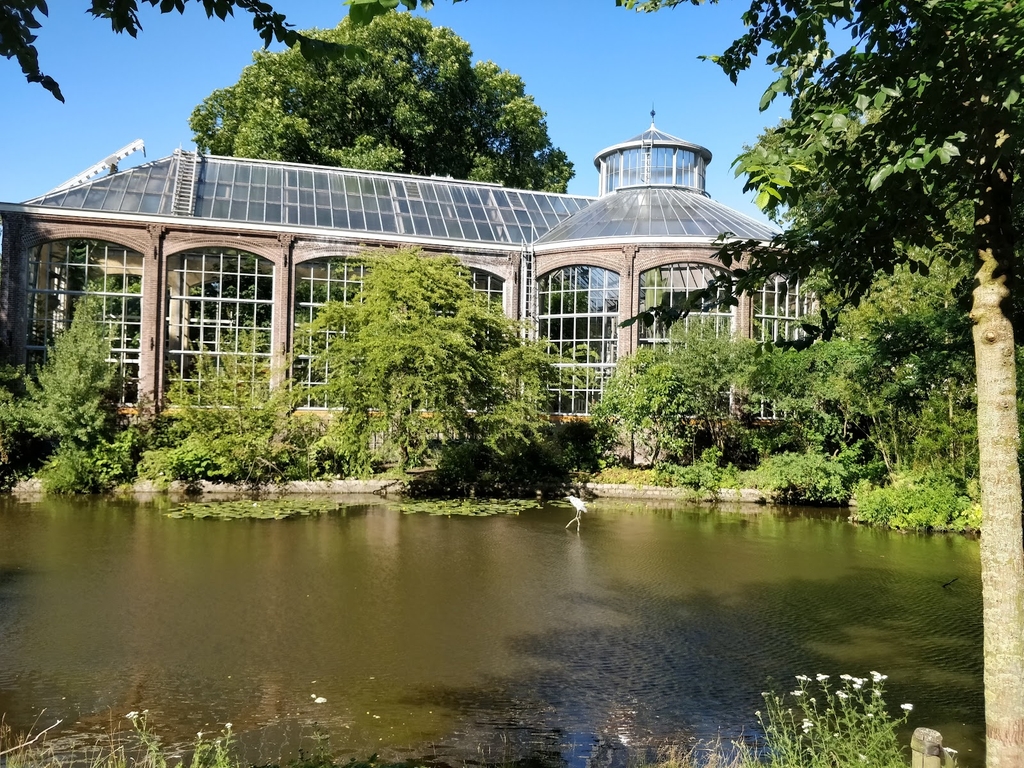De Hortus Botanicus (Source: Google Maps)