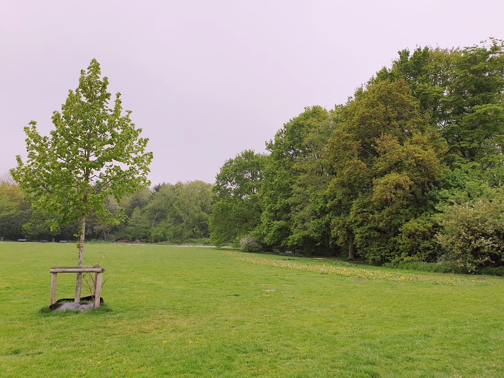 Flevopark (Source: Google Maps)