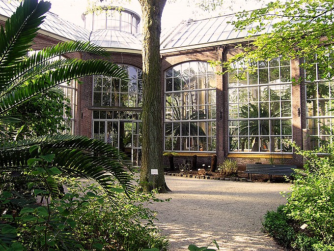 Hortus Botanicus Amsterdam (Source: Google Maps)
