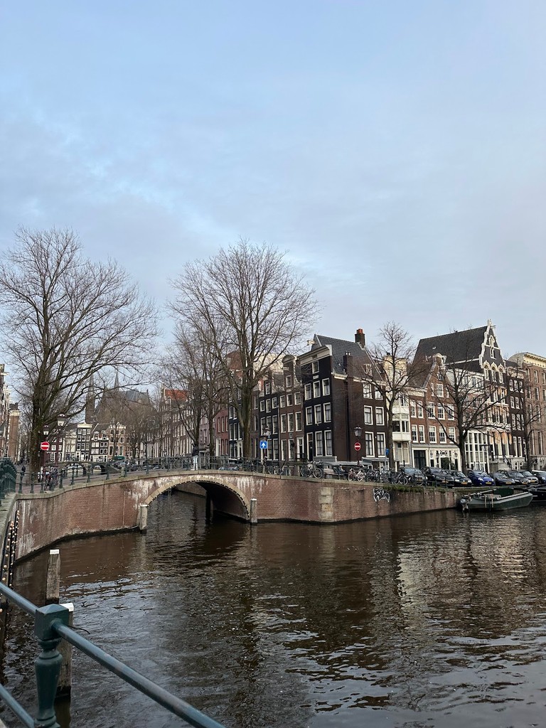 The Nine Streets (De Negen Straatjes) (Source: Google Maps)