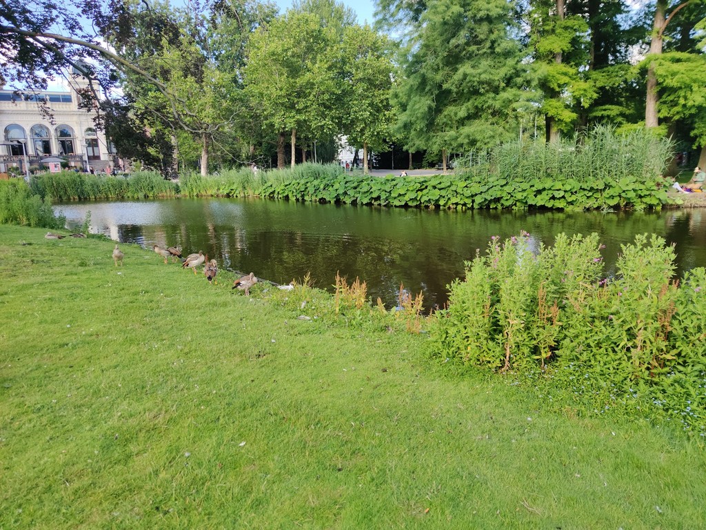 Vondelpark (Source: Google Maps)