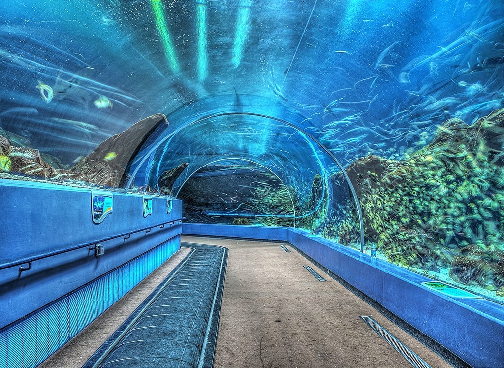 Georgia Aquarium (Source: Google Maps)