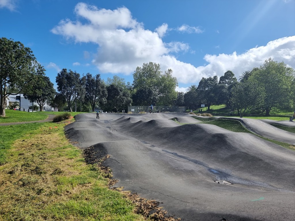 Grey Lynn Park (Source: Google Maps)