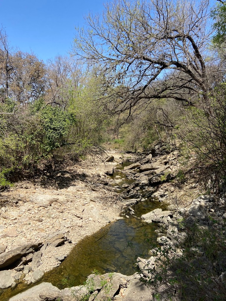 Shoal Creek Trail (Source: Google Maps)