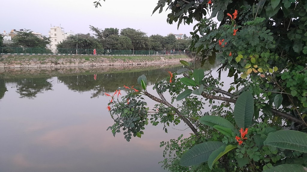 Devasandra Lake (Source: Google Maps)