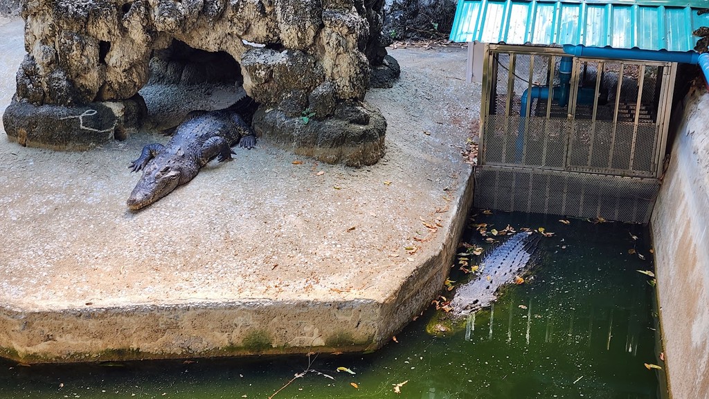Wat Chakrawat Ratchawat Woramahawihan (Crocodile Temple) (Source: Google Maps)