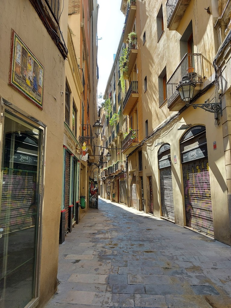 Carrer de Petritxol (Source: Google Maps)
