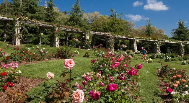 Parc de Cervantes (Source: Google Maps)