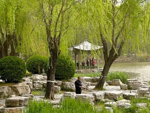 Qingnianhu Park (Source: Google Maps)