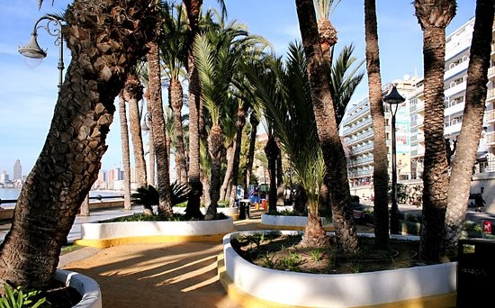 Parque de Elche (Source: Google Maps)