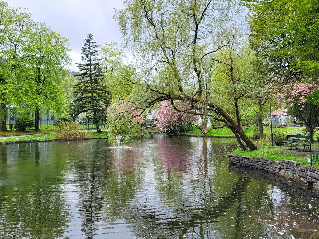 Nygårdsparken (Source: Google Maps)