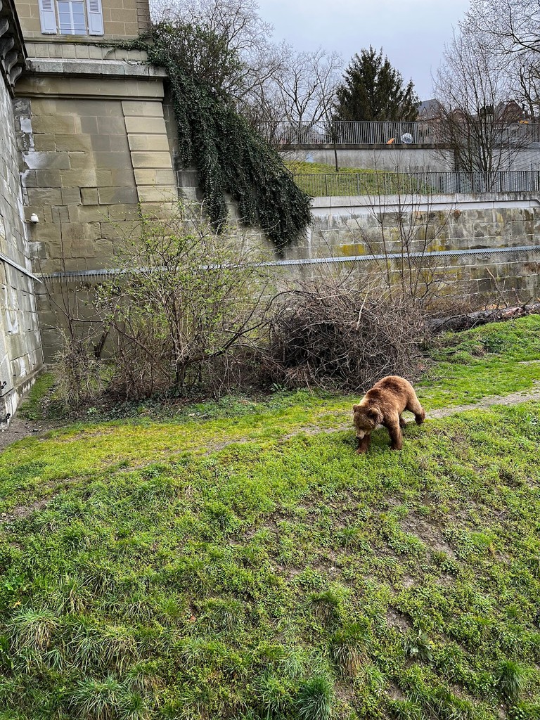 BearPark (BärenPark) (Source: Google Maps)