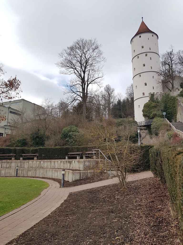 Stadtgarten (Source: Google Maps)