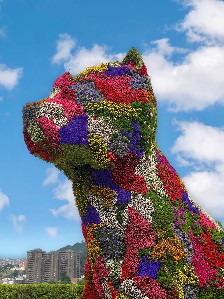 Puppy (Source: Google Maps)