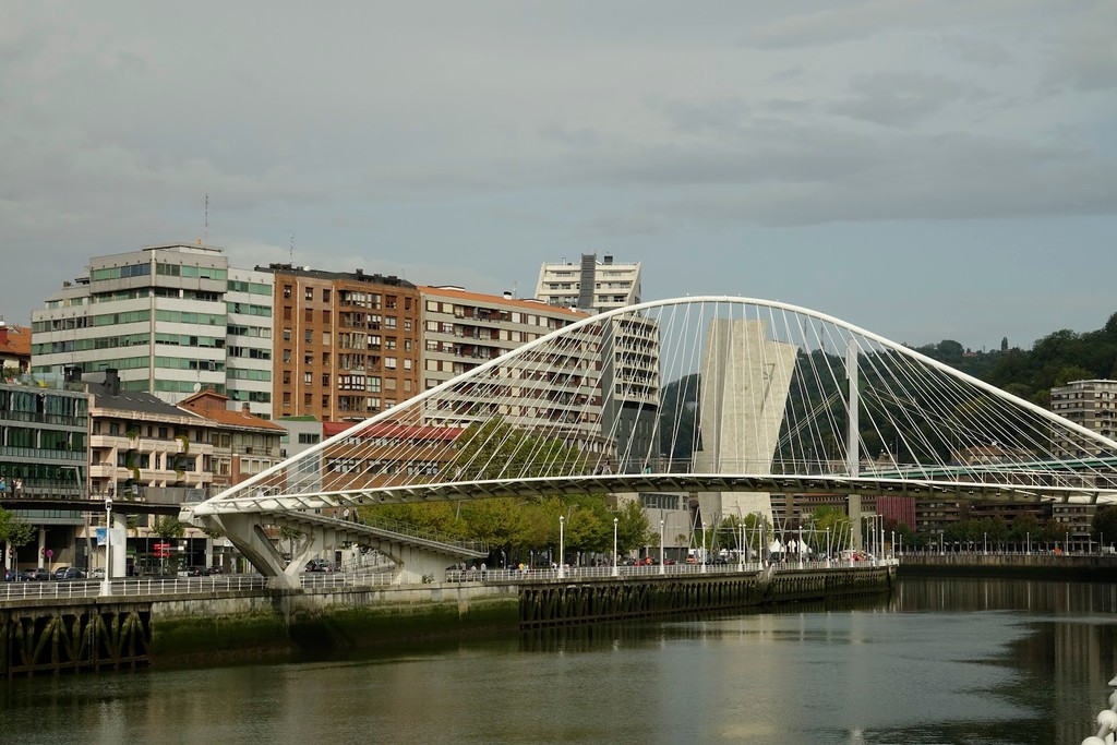 Zubizuri Bridge (Source: Google Maps)