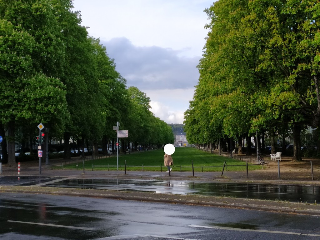 Poppelsdorfer Allee (Source: Google Maps)