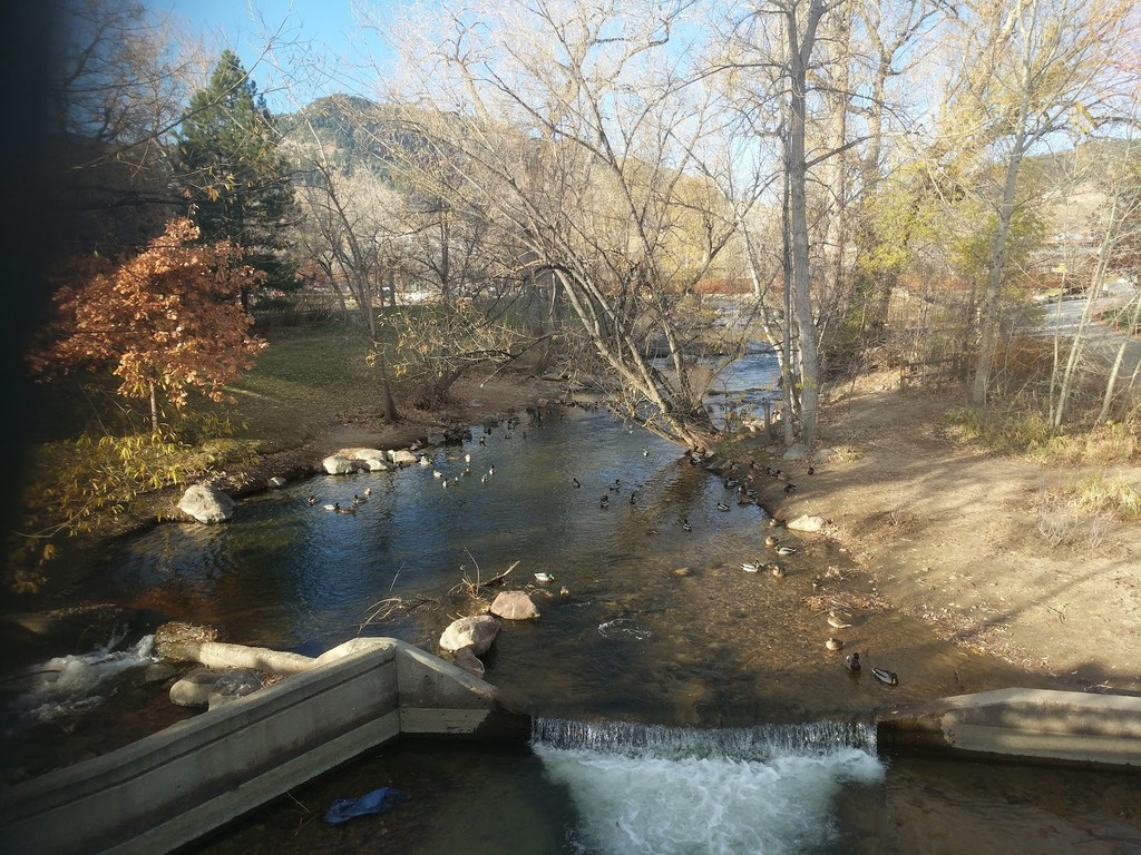 Central Park (Source: Google Maps)