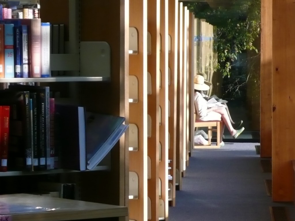 Brainerd Public Library (Source: Google Maps)