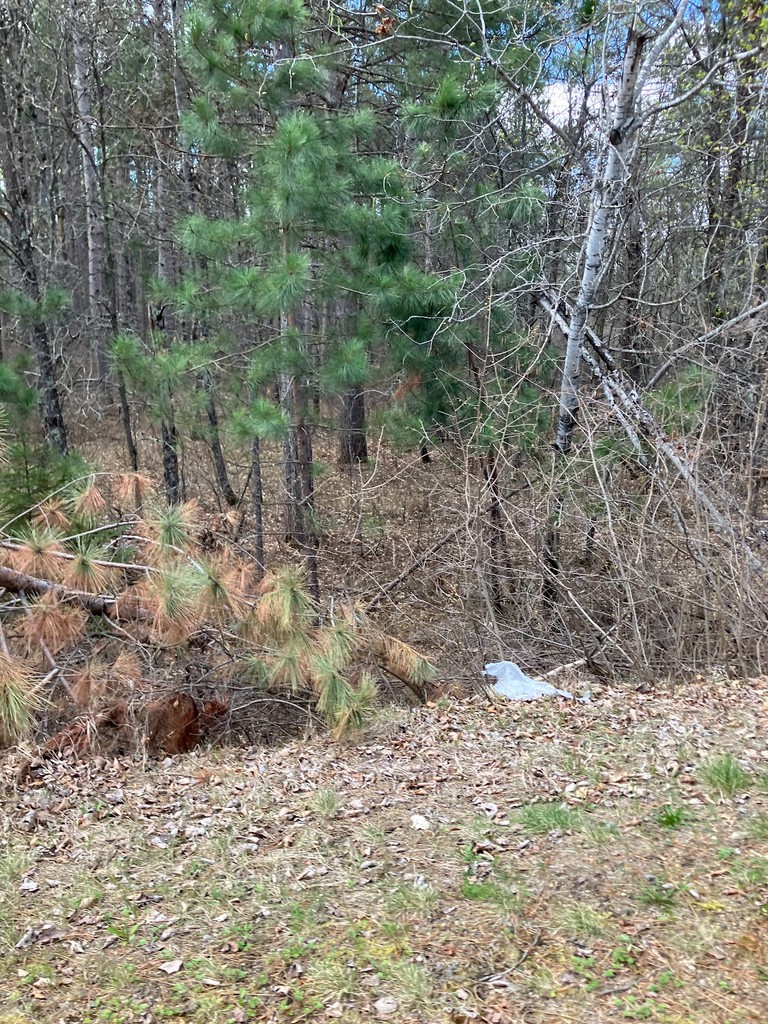 Paul Bunyan Trailhead (Source: Google Maps)