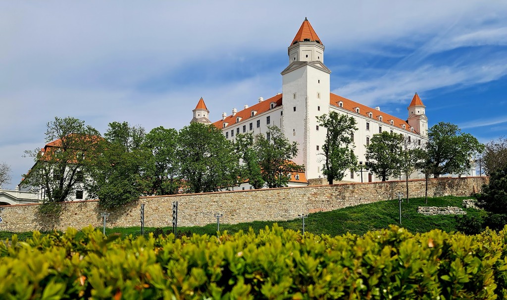 Bratislava Castle (Source: Google Maps)