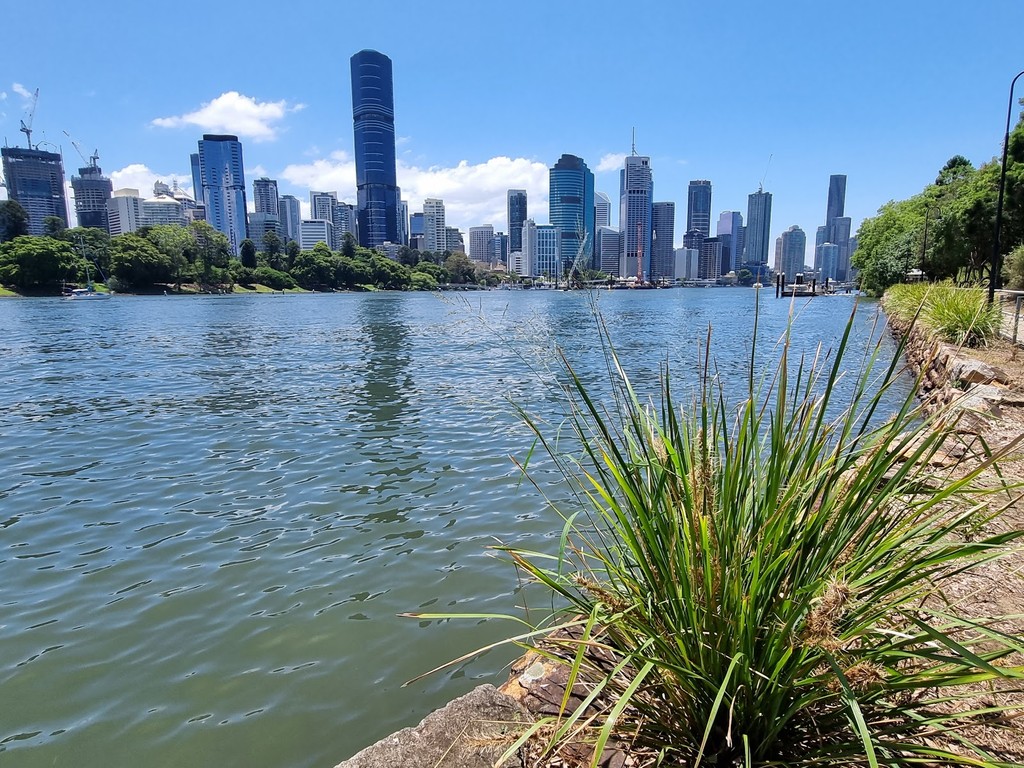 Kangaroo Point Cliffs Park (Source: Google Maps)