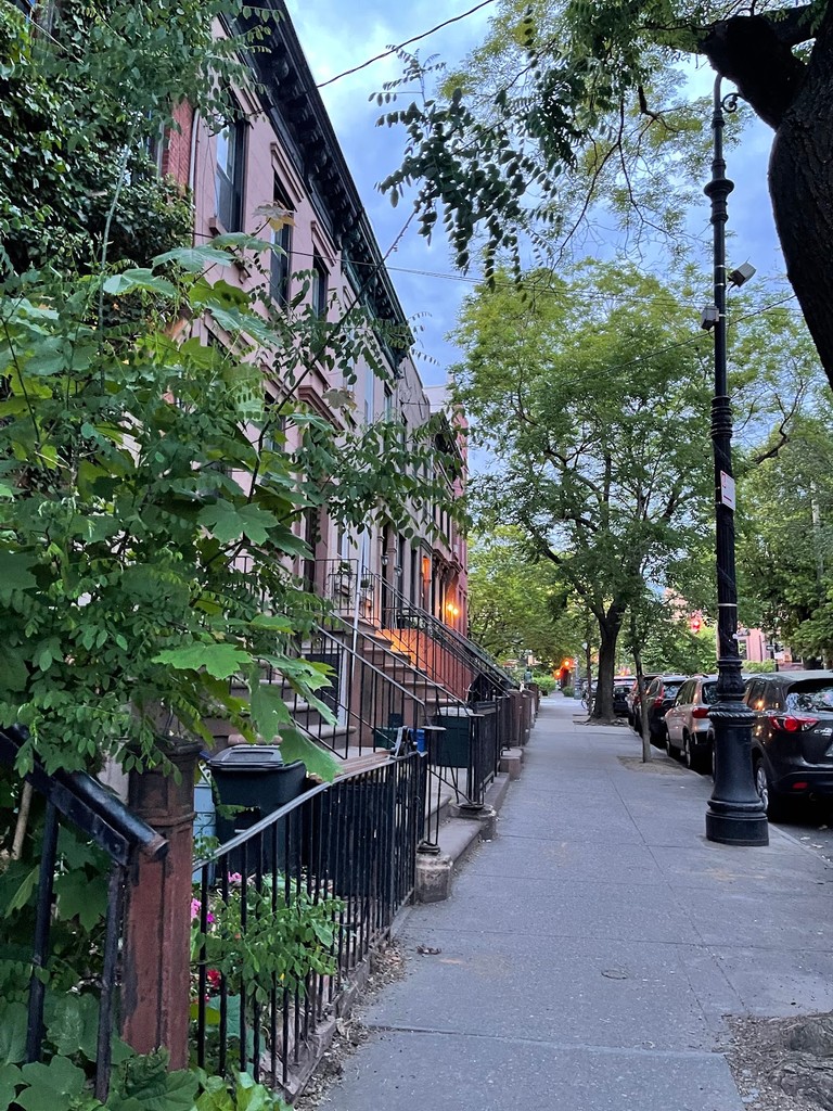 Carroll Gardens (Source: Google Maps)