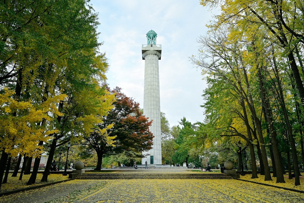 Fort Greene Park (Source: Google Maps)