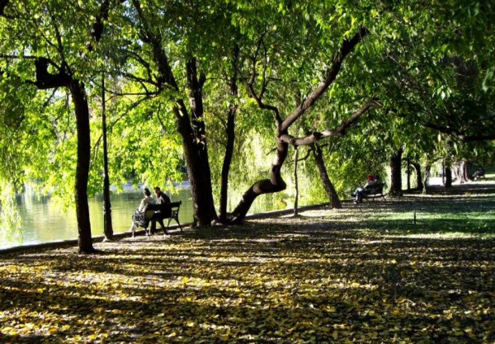 Cişmigiu Gardens (Grădina Cişmigiu) (Source: Google Maps)