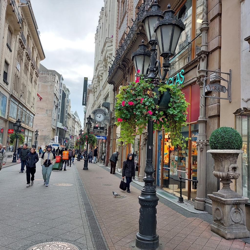 Váci Street (Source: Google Maps)