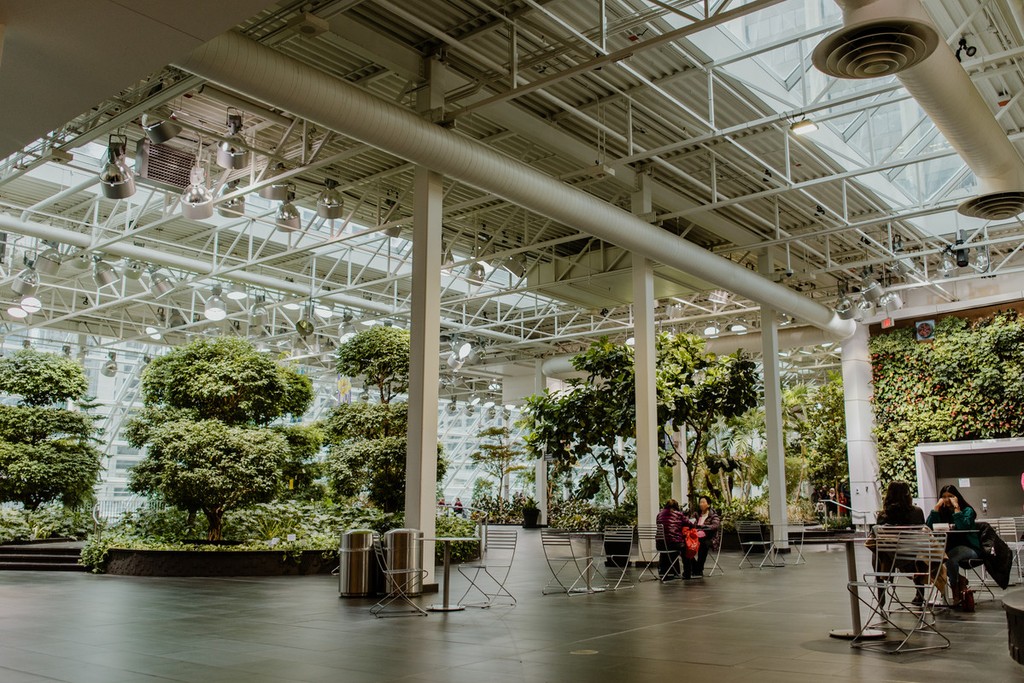Devonian Gardens (Source: Google Maps)