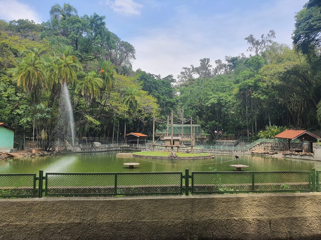 Bosque dos Jequitibás (Source: Google Maps)