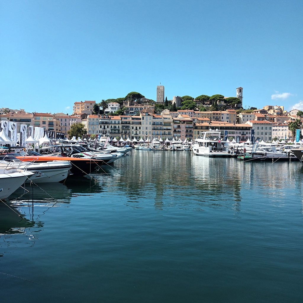 Port de Cannes (Source: Google Maps)