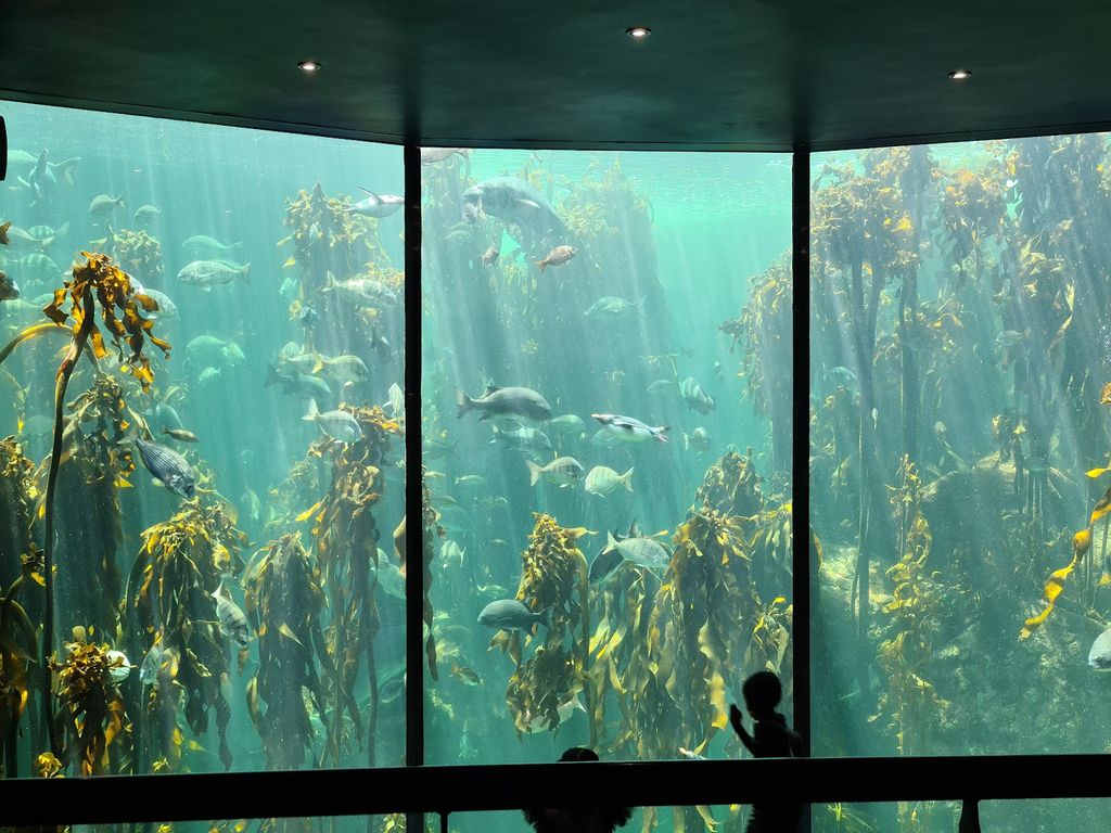 Two Oceans Aquarium (Source: Google Maps)