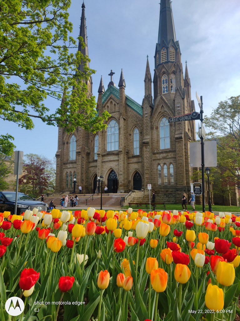 St. Dunstan's Basilica (Source: Google Maps)