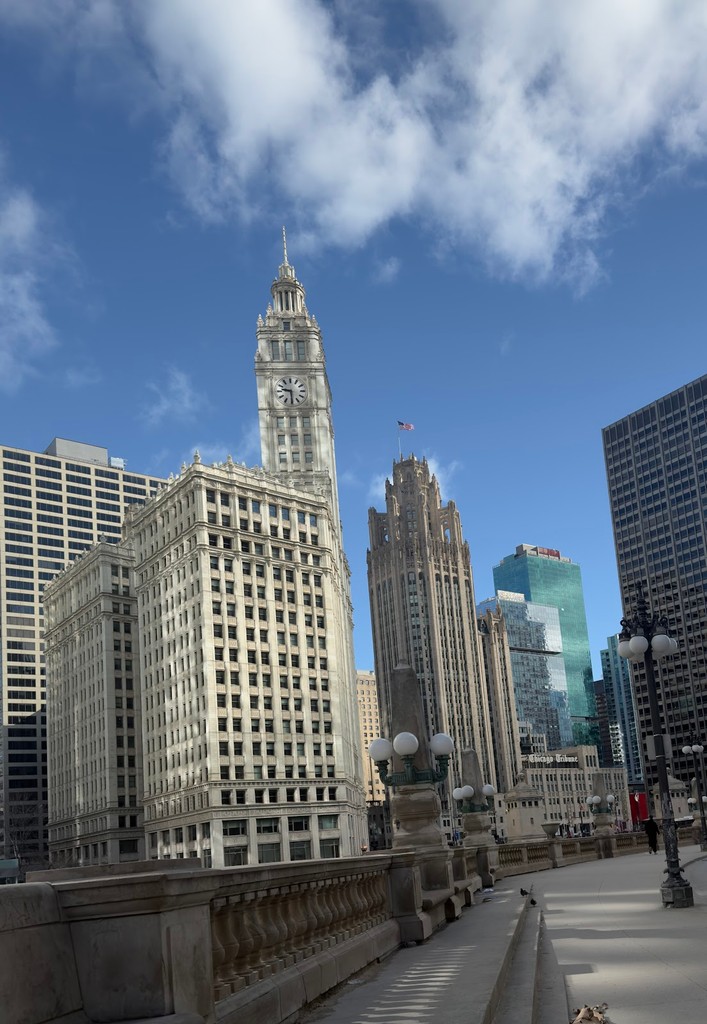 The Wrigley Building (Source: Google Maps)