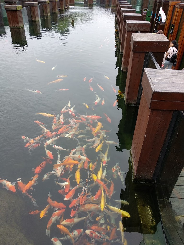 Hangzhou Bay Wetland Park (Source: Google Maps)