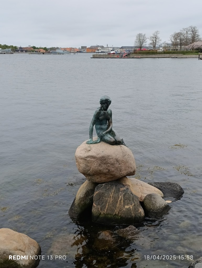 The Little Mermaid (Source: Google Maps)