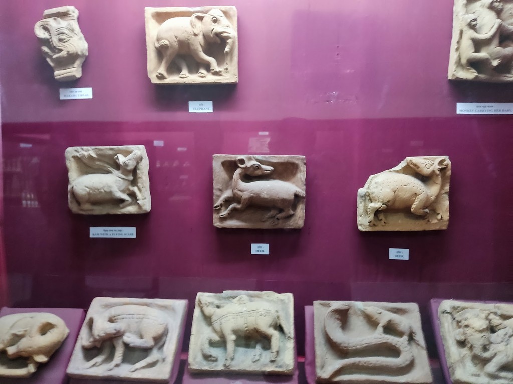 Mainamati Museum (Source: Google Maps)