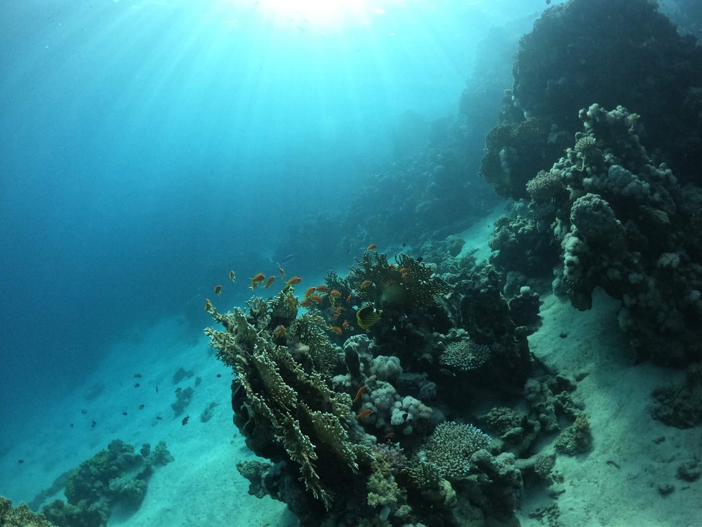 Eel Garden (Source: Google Maps)