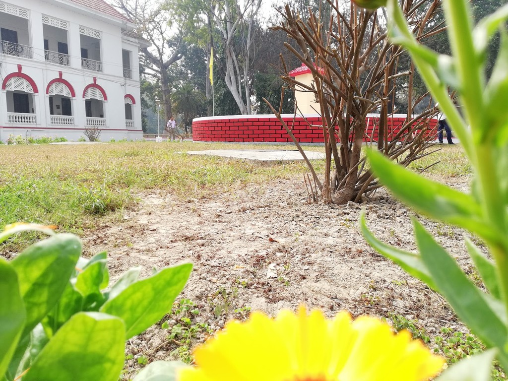 Bela Palace (Source: Google Maps)