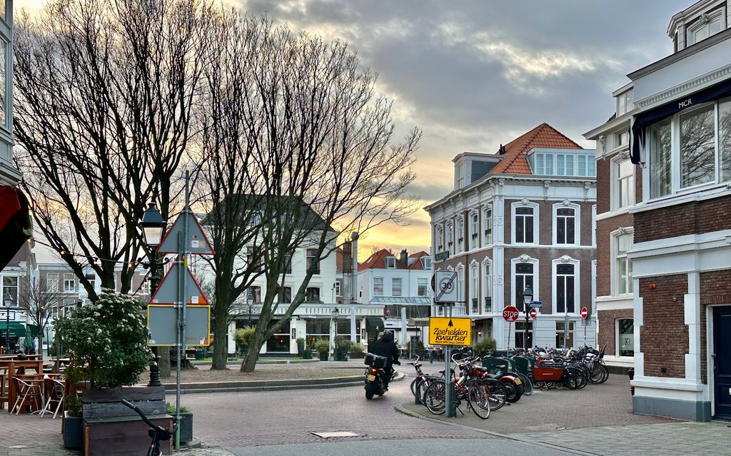 Anna Paulownaplein (Source: Google Maps)