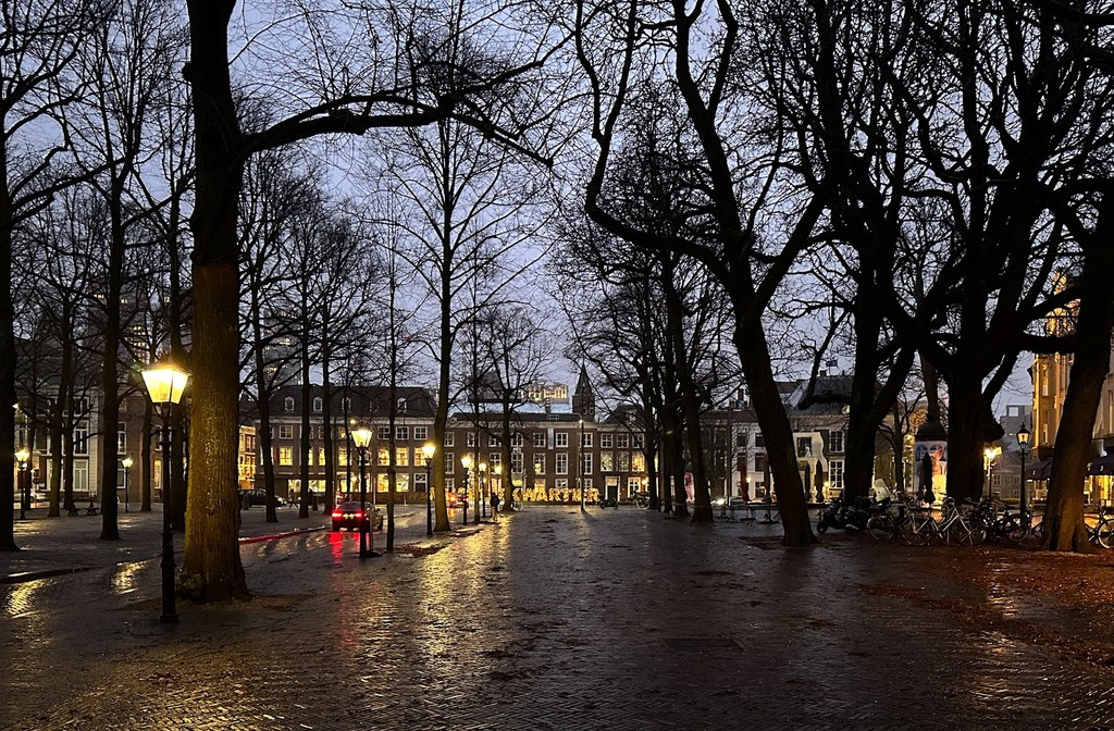 Lange Voorhout (Source: Google Maps)