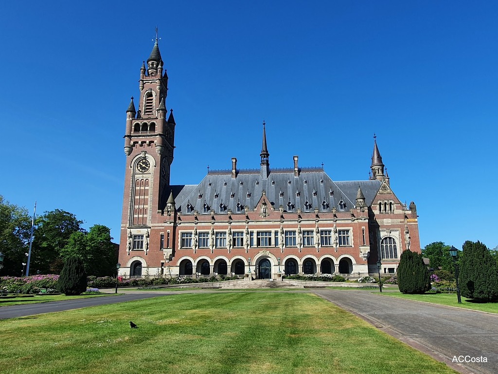 Peace Palace (Source: Google Maps)