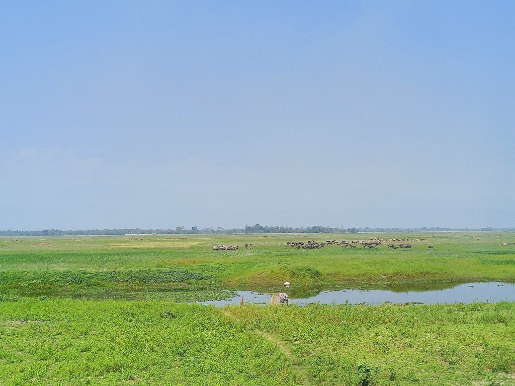 Bordoibam Beelmukh Wildlife Sanctuary (Source: Google Maps)