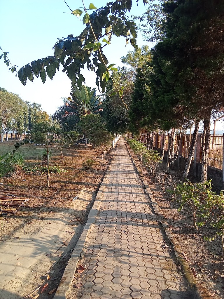 Dhemaji Nature Park (Source: Google Maps)