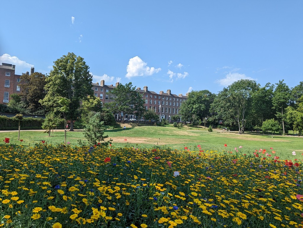 Merrion Square Park (Source: Google Maps)