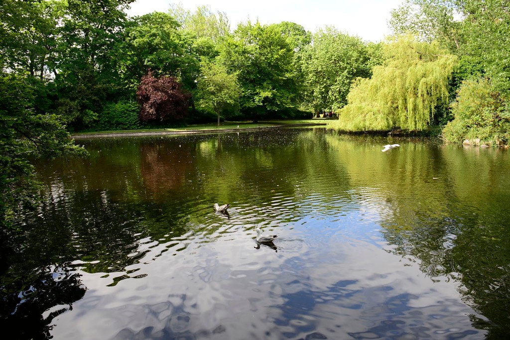 St. Stephen's Green (Source: Google Maps)